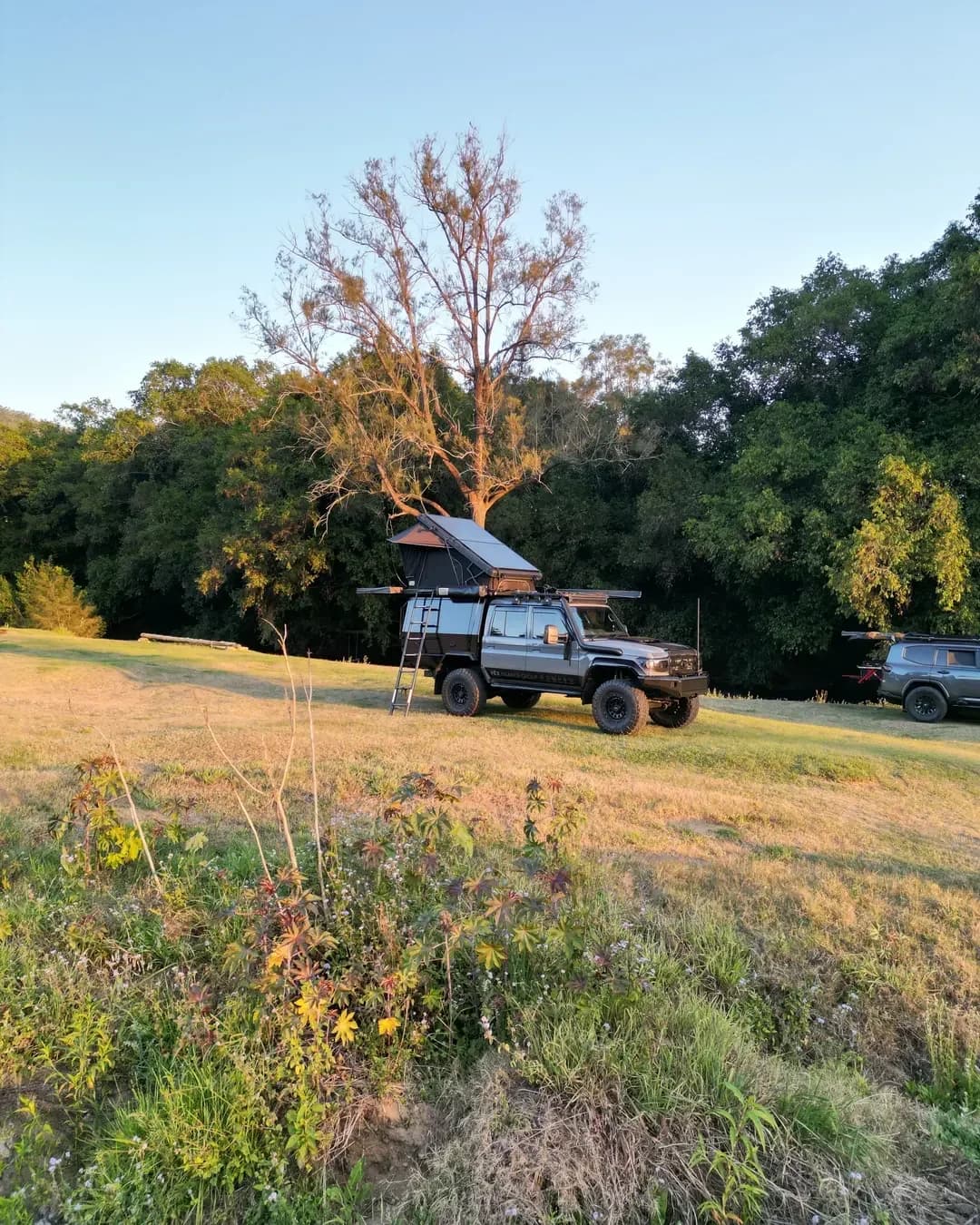 Drewsy's 79 camped in a grassy clearing at golden hour, rooftop tent up.